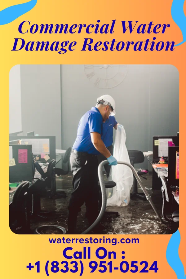 Commercial Water Damage Restoration in Royal, IL