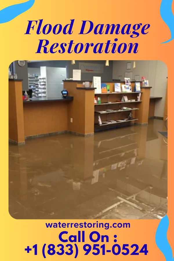Flood Damage Restoration in Royal, IL