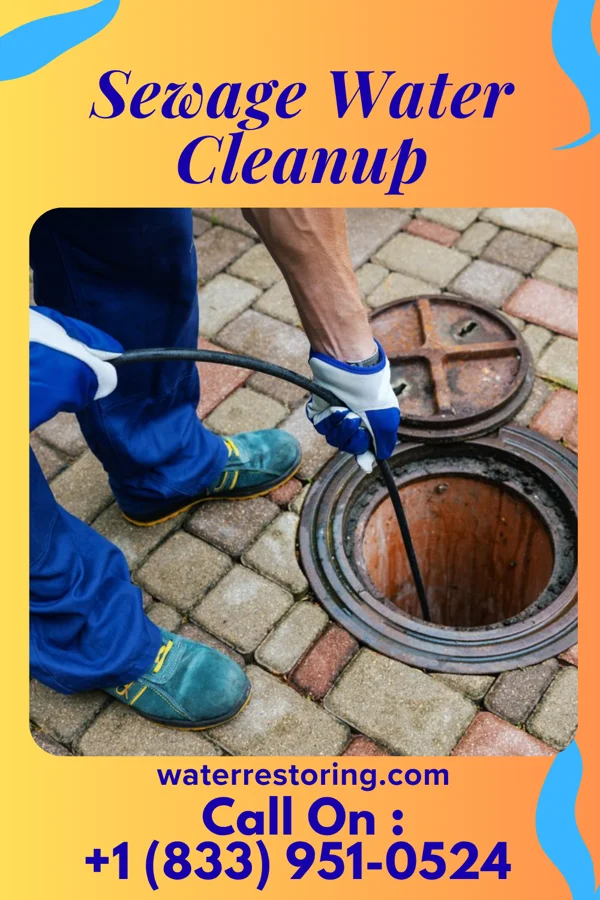 Sewage Water Cleanup in Royal, IL